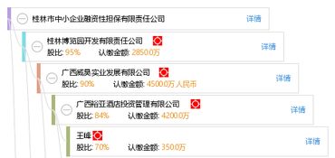 桂林市中小企業融資性擔保有限責任公司